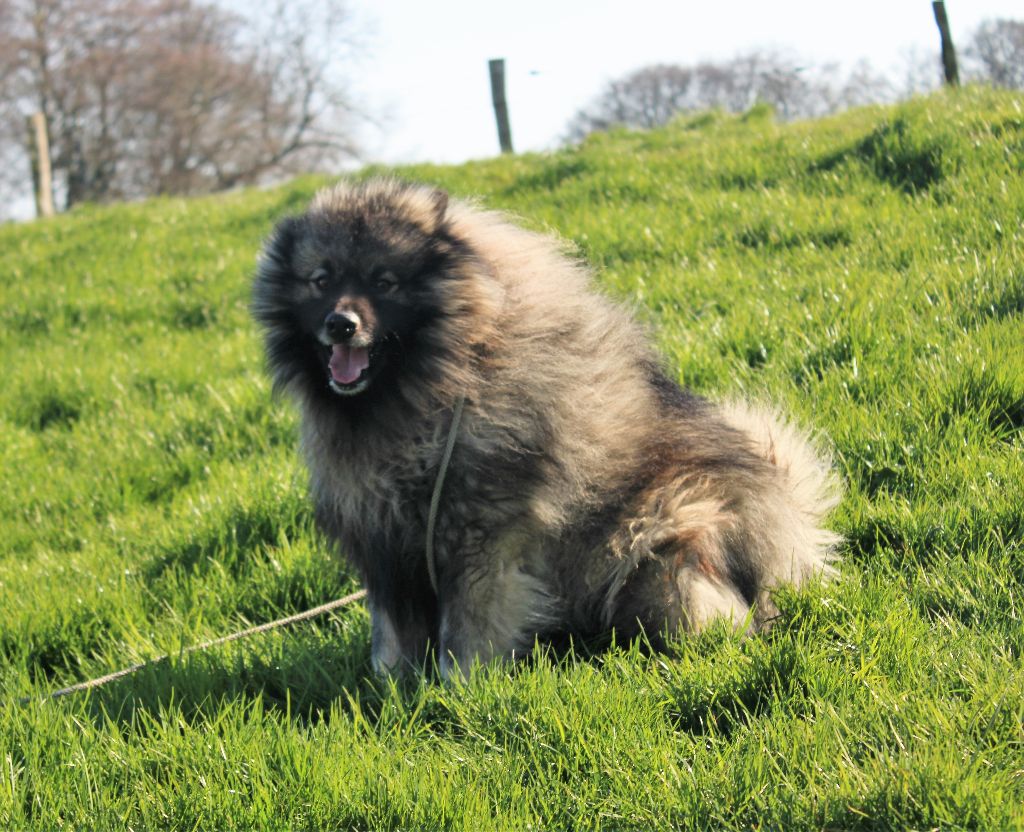 Nounours dit nieko Du val de la durdent